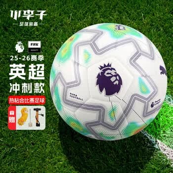 普京缺席世界杯引发关注